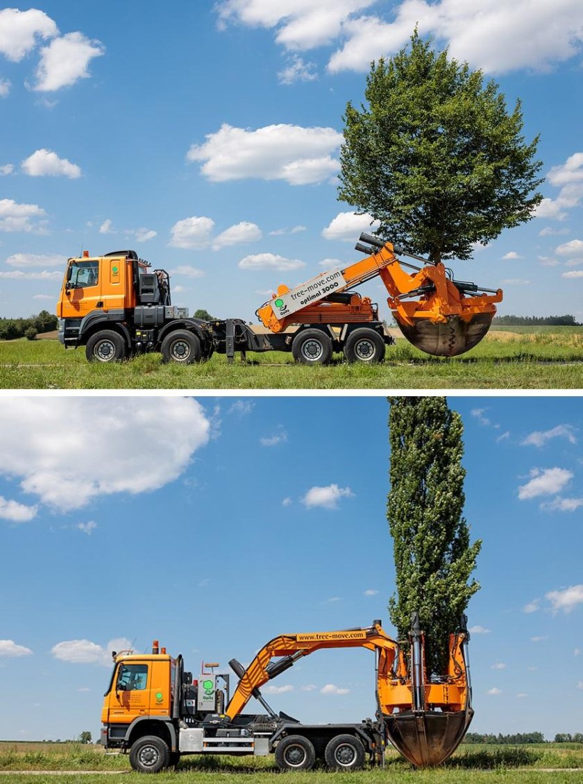 Машина для пересадки деревьев