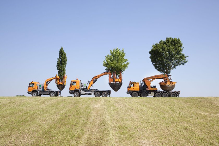 Техника для пересадки деревьев крупномеров