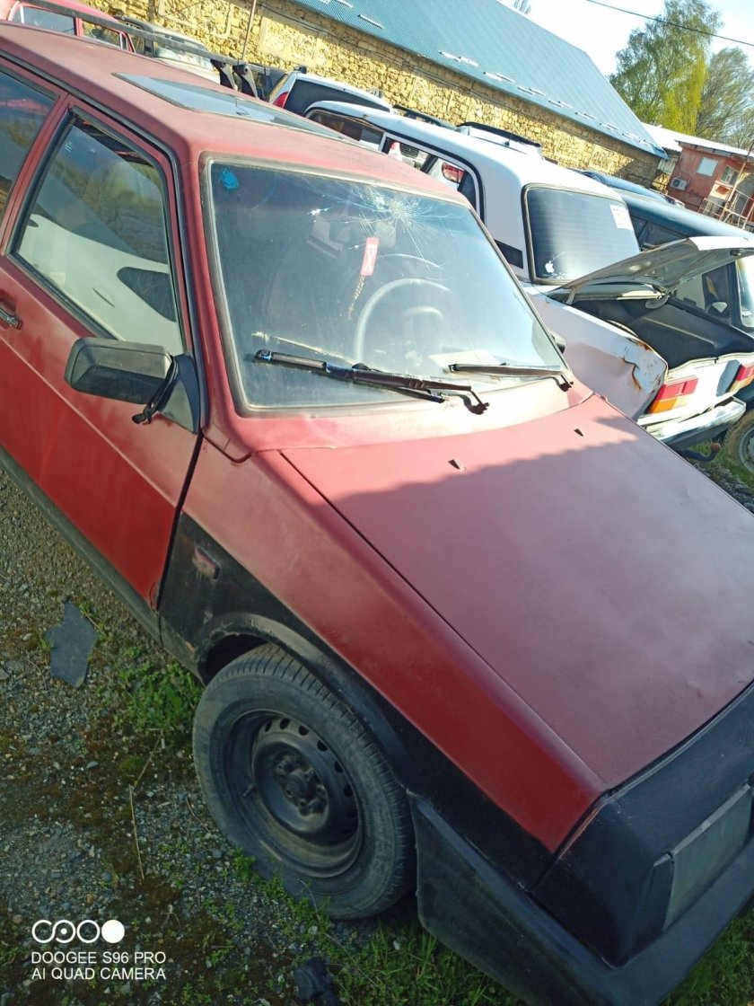 Цвет коралл 2109