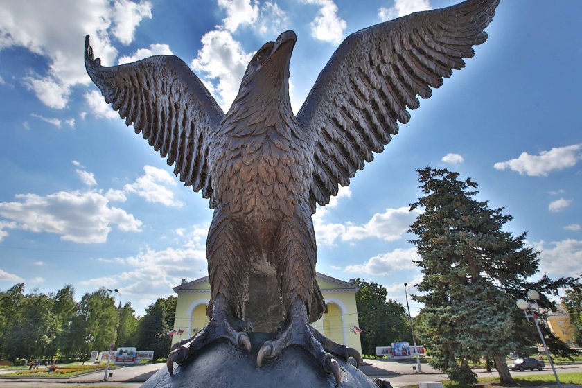 Орел Стелла стрелка