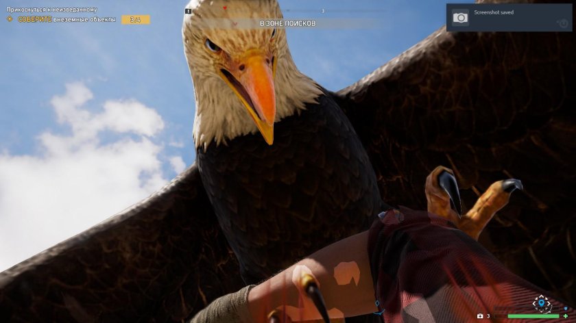 Far Cry 5 Орлы