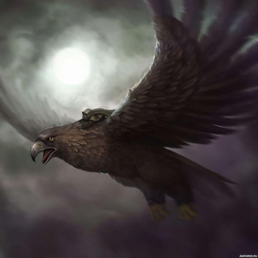 Птица рух ДНД