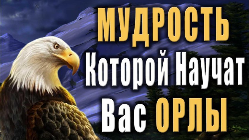 Орел и ворон притча