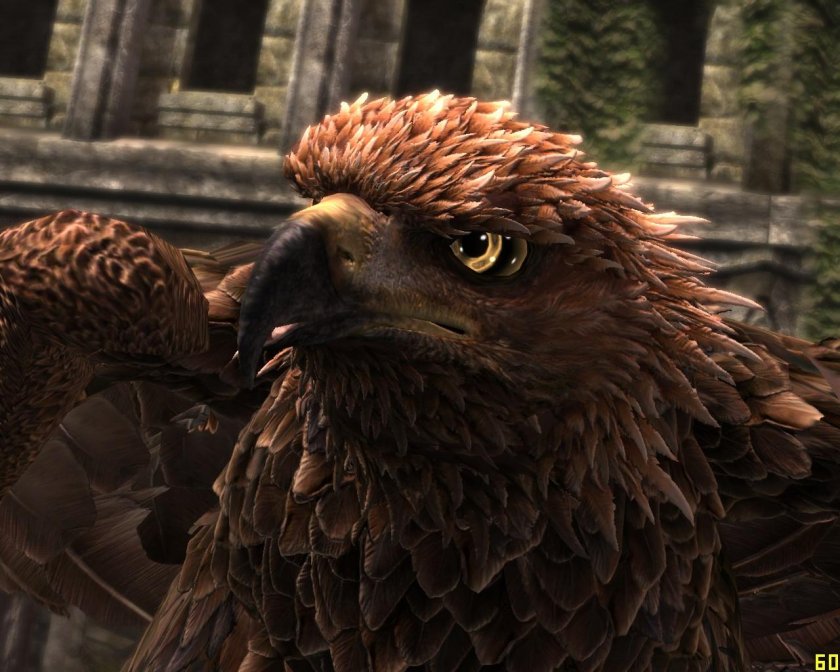 Белерам Орел