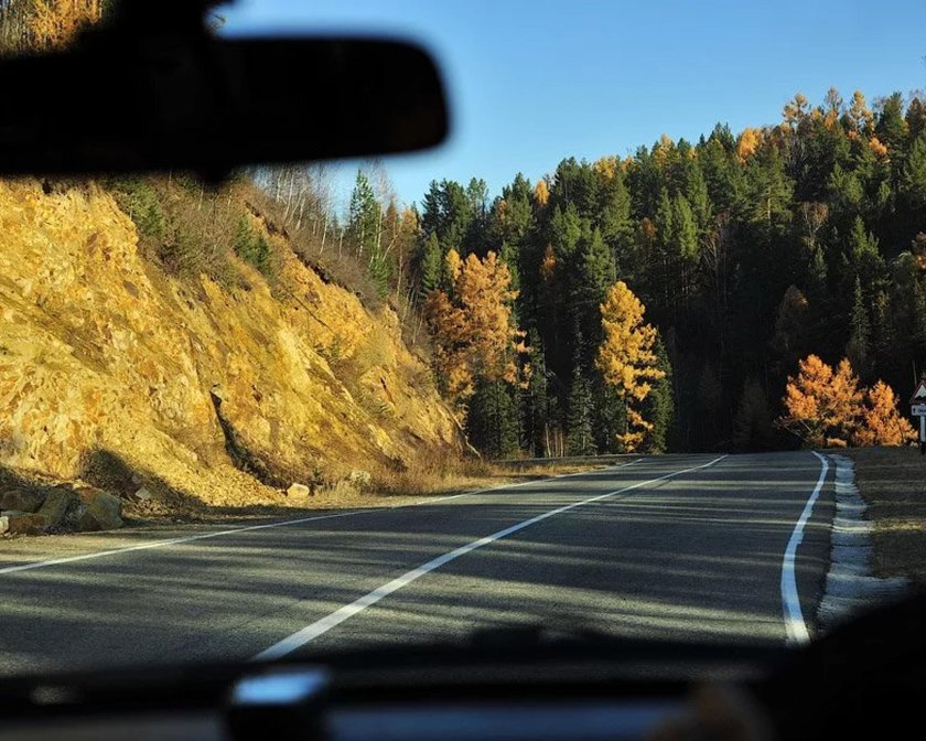 Вид из машины