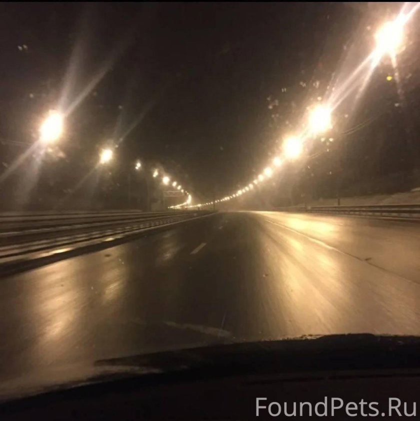 Дорога ночью