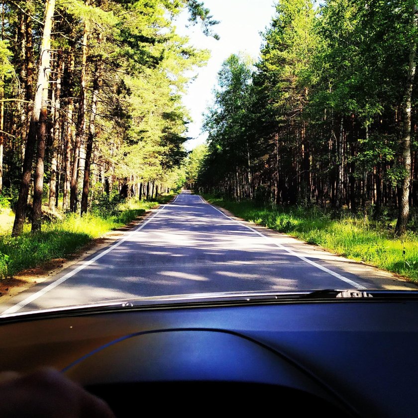 Дорога летом