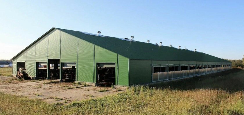 Животноводческая ферма коровник