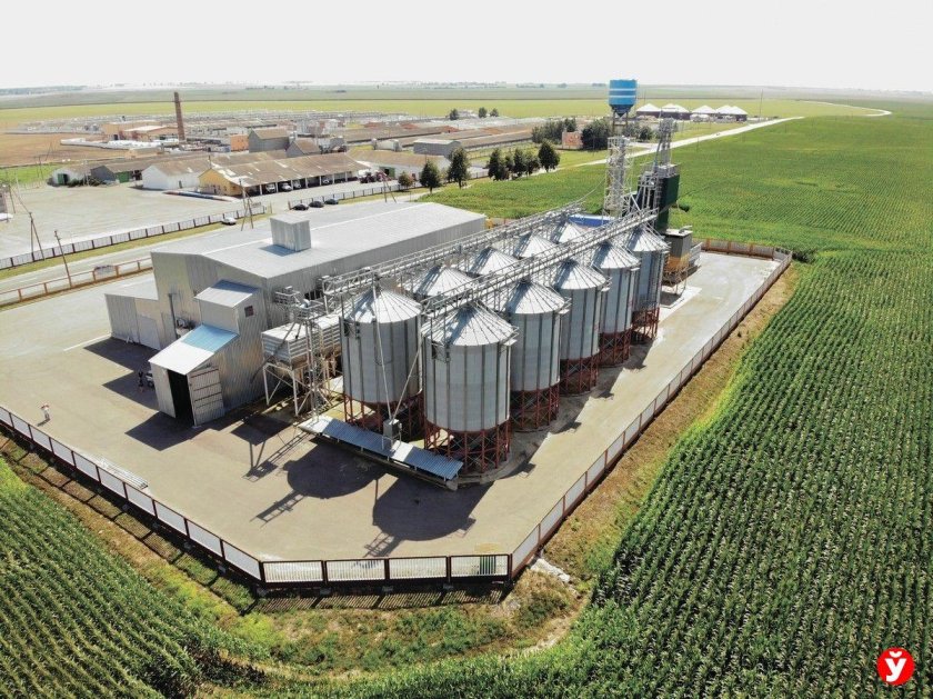 Линия подготовки семян