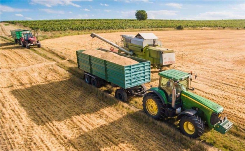 Сельхоз хозяйство