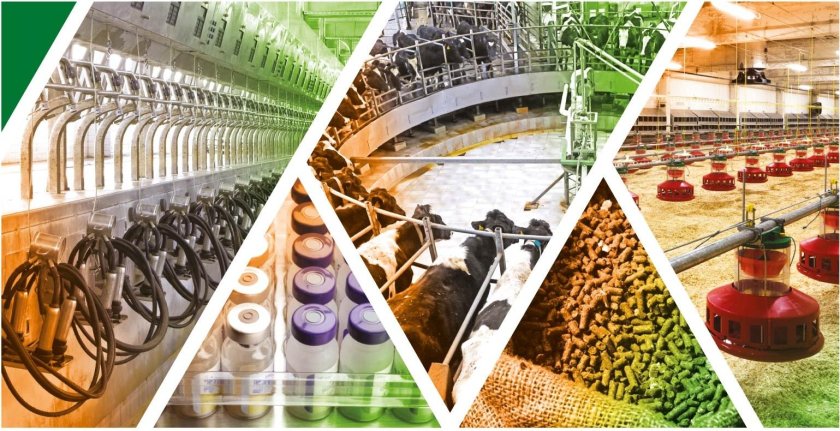 Сельское хозяйство и пищевая промышленность