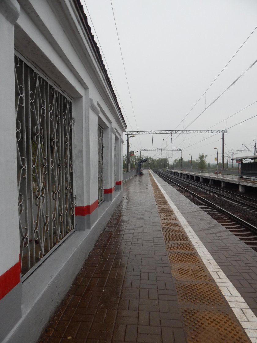 Царицыно жд станция