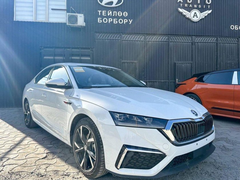 Новая Октавия 2023