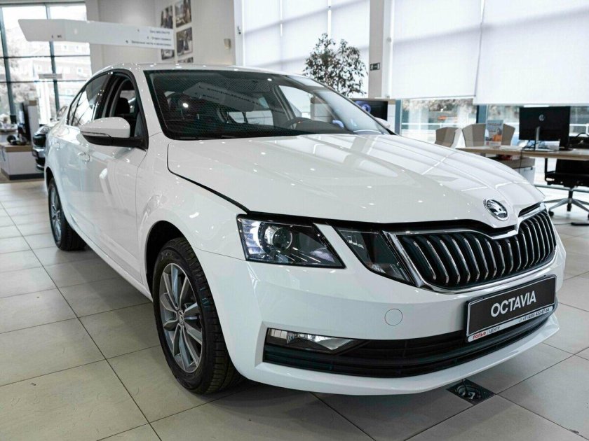 Октавия 23 года новая