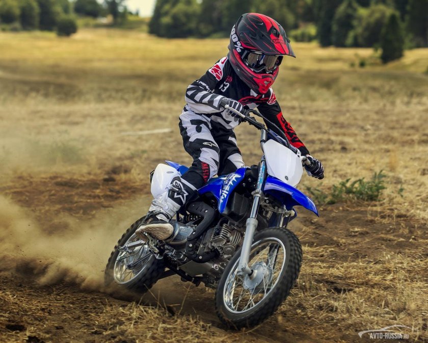 Yamaha ttr 110