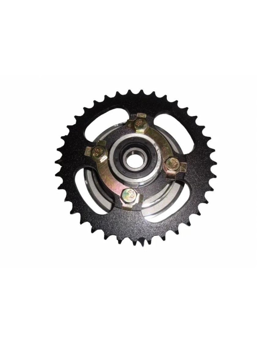 Звезда задняя альфа 428