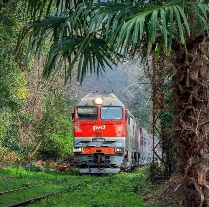 Абхазия железная дорога сухум