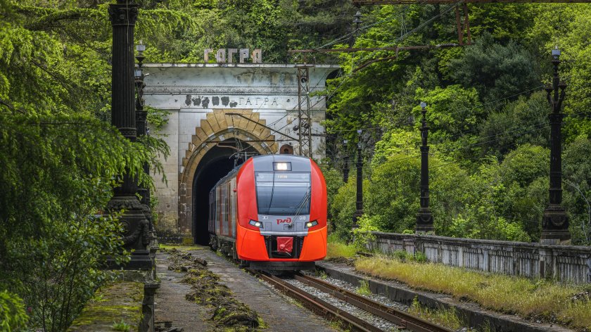 Ласточка Абхазия Сочи