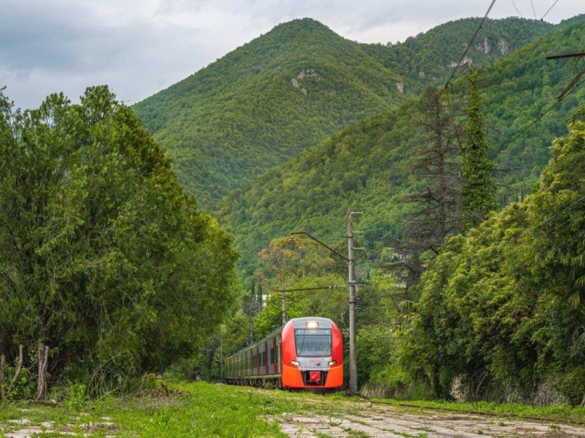 Ласточка Сочи Гагра