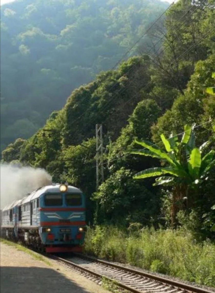 Поезд Сочи Сухум