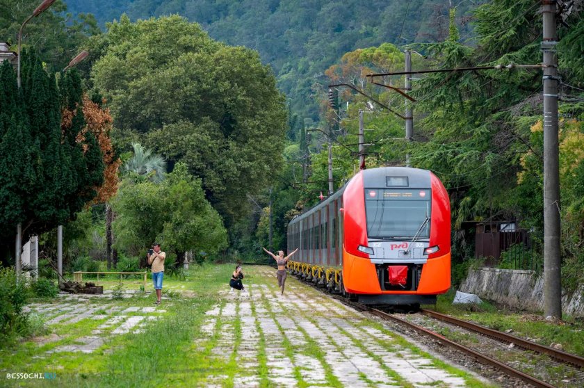 Ласточка Сочи Гагра