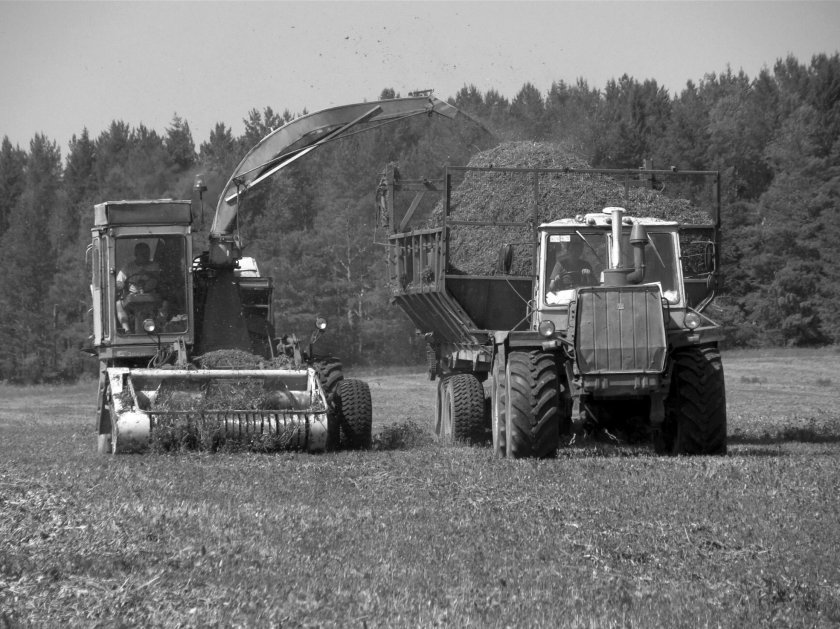 Заготовка кормов в сельском хозяйстве в СССР