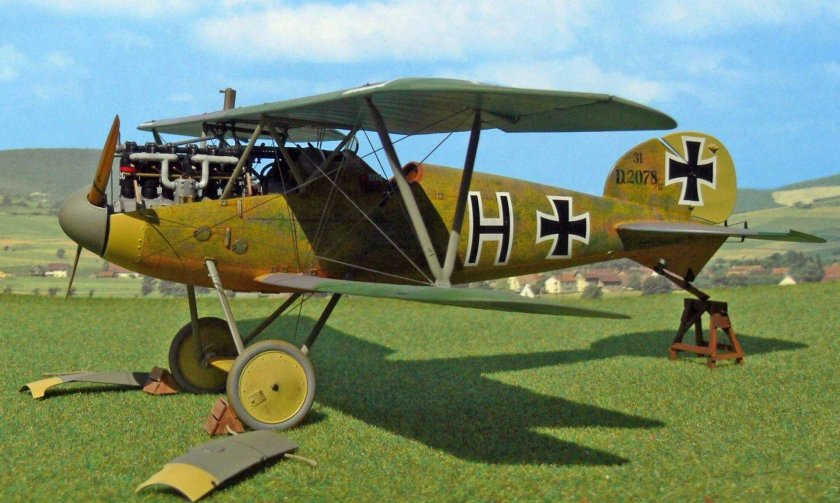 Альбатрос истребитель