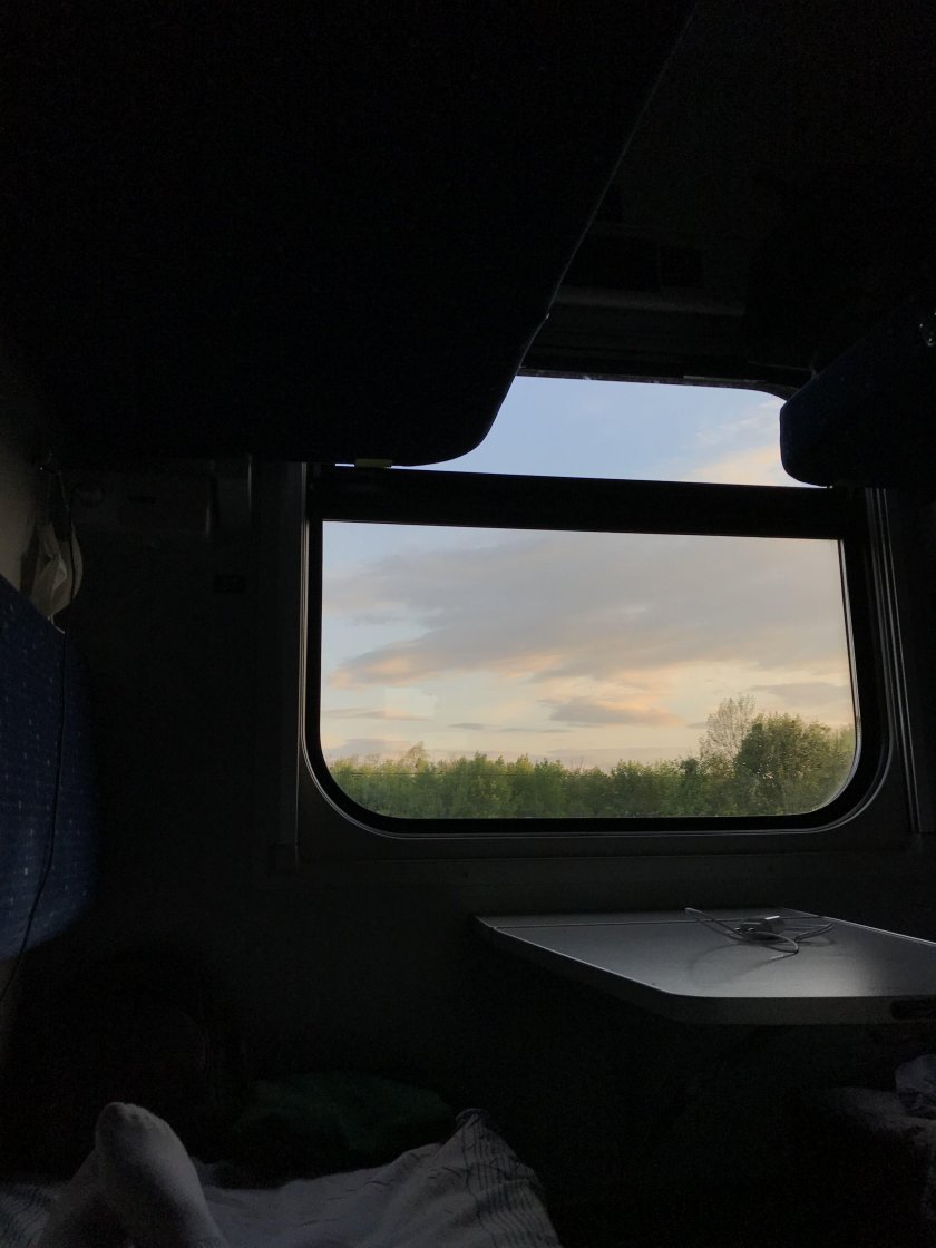 Поезд вид из окна