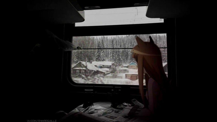 Вид из окна поезда