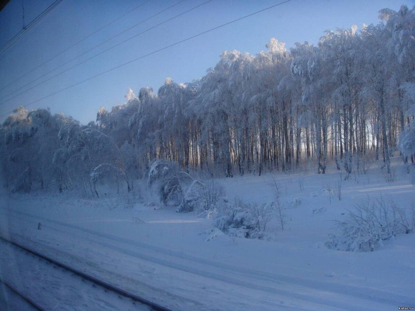 Вид из окна поезда зимой