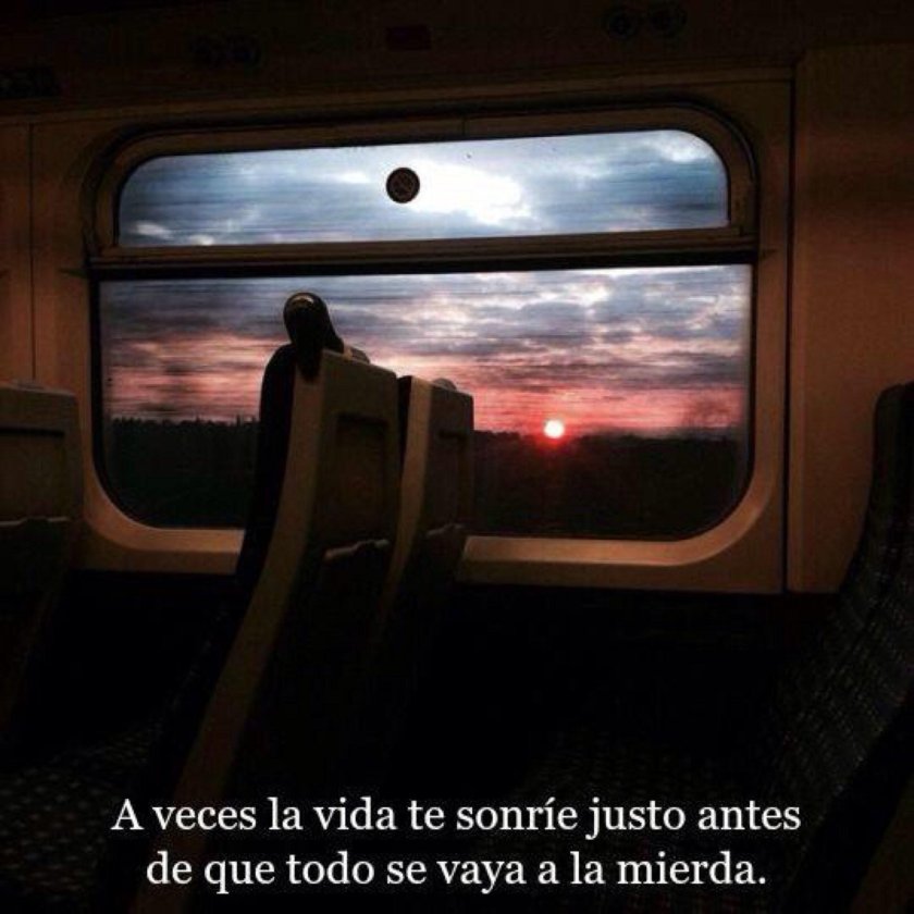 Красивый вид из поезда