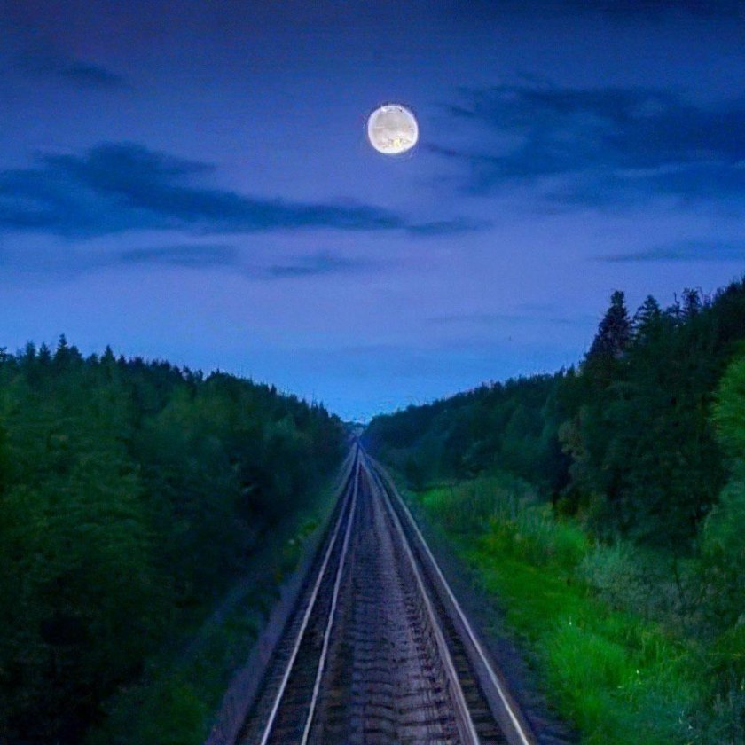 Ночь с луной