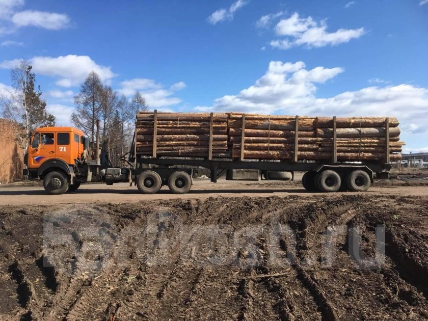 Лесовоз бейфан бенчи