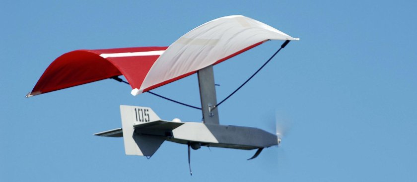 БПЛА Птеро-g1