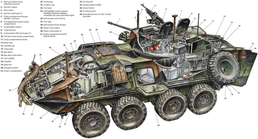 БМП Lav-25