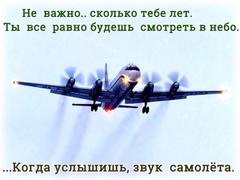 Цитаты про авиацию и самолеты