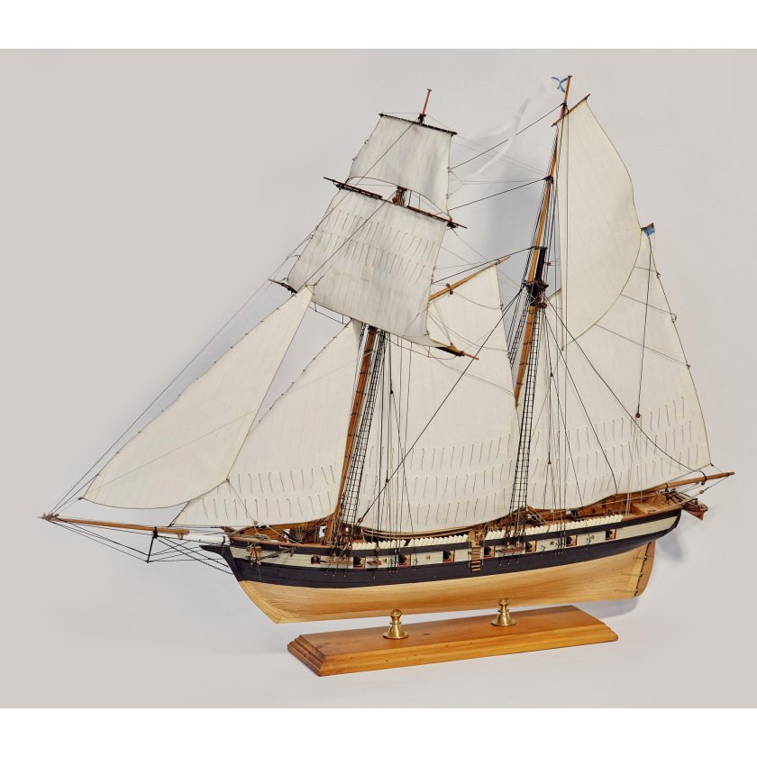 Ласточка шхуна, 1838