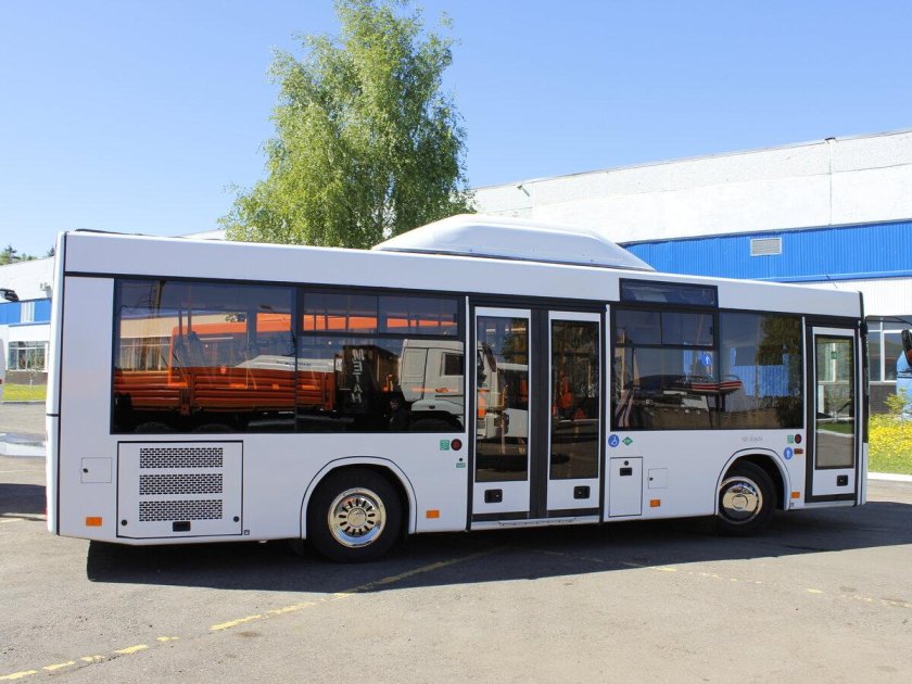 МАЗ 206 Лотос