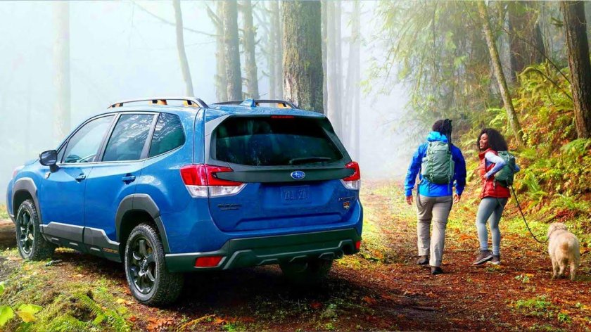 Subaru forester wilderness