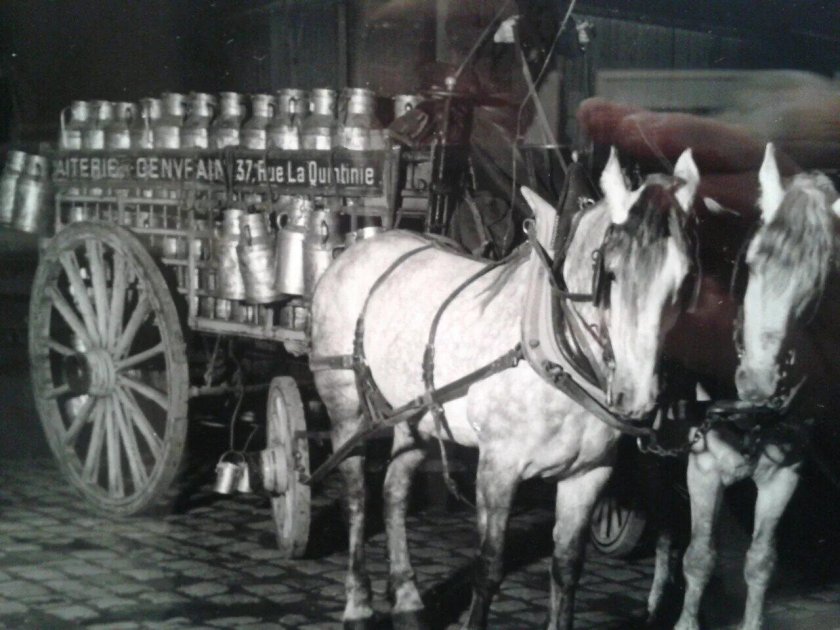 Кыргызстан молочник машина