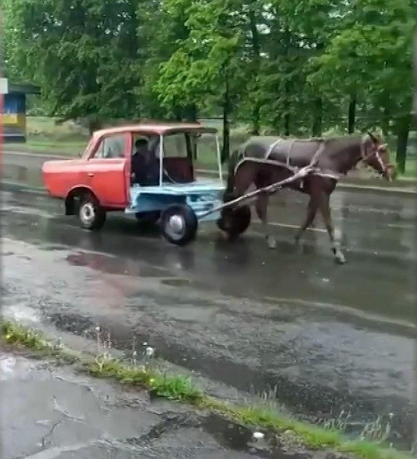 Автомобиль запряженный лошадью