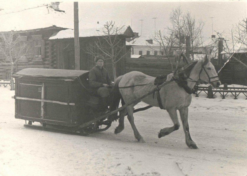 Гужевой транспорт в СССР