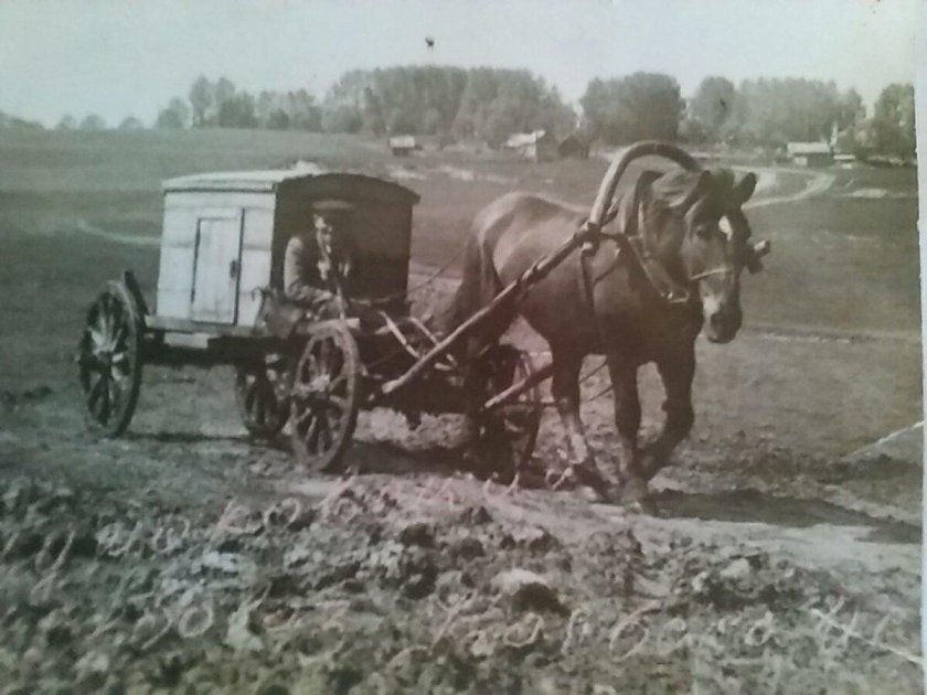 Гужевая повозка