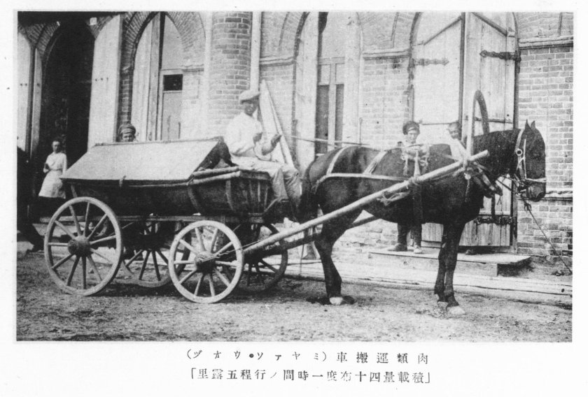 Торговые ряды Мавритания Благовещенск история