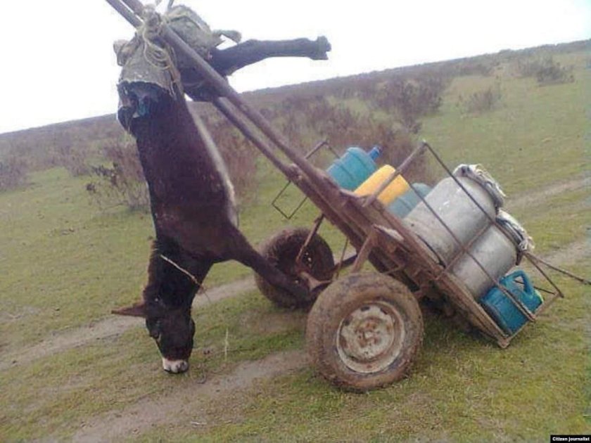 Телега смешная