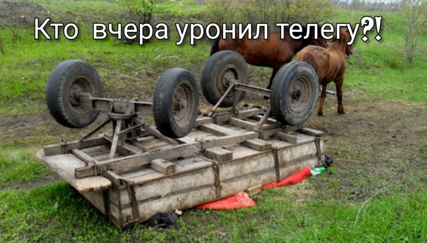 Телега с лошадью