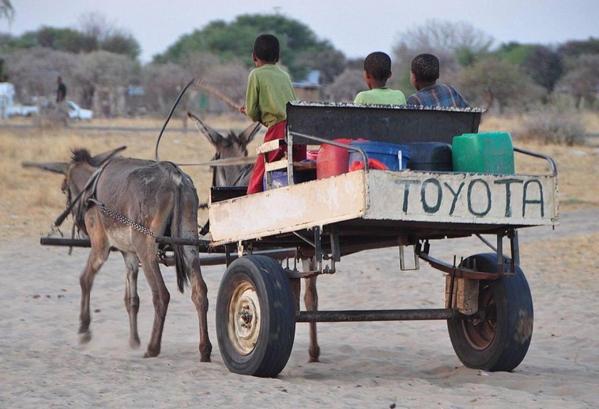 Ослик с повозкой