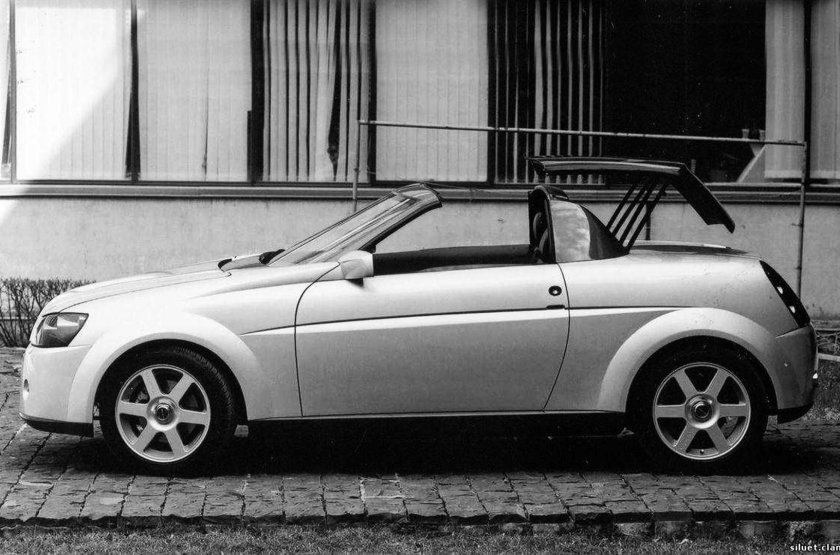 ВАЗ 2110 родстер