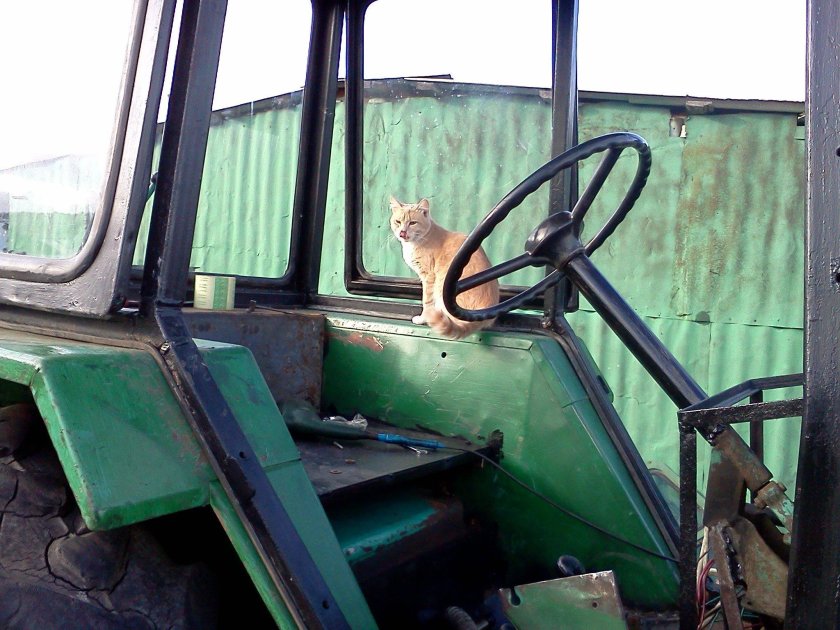 Кабина ЮМЗ 6л