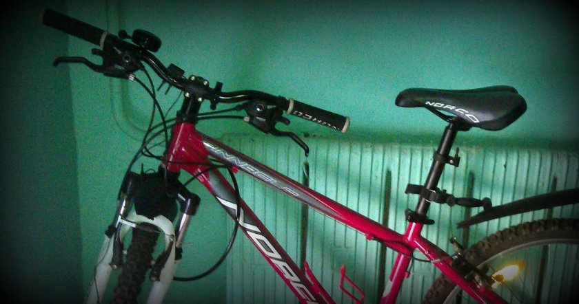 Украл велосипед